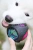 Pet Rubber Bouncing Toy Dog Chew Toy Light up Ball Squeaky Toy, Bite Resistant Irregular Shape Toy - round