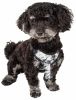 Pet Life 'Bonatied' Mesh Reversible And Breathable Adjustable Dog Harness W/ Designer Neck Tie - Camo - X-Small