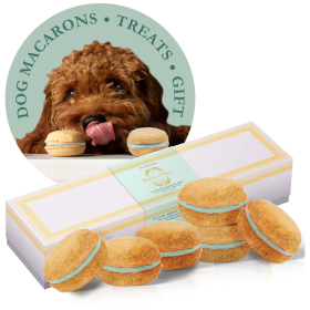 Dog Macarons - Count of 6 (Dog Treats | Dog Gifts) - Mint