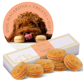 Dog Macarons - Count of 6 (Dog Treats | Dog Gifts) - Pumpkin