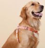 Touchdog 'Macaron' 2-in-1 Durable Nylon Dog Harness and Leash - Pink - Large