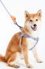 Touchdog 'Macaron' 2-in-1 Durable Nylon Dog Harness and Leash - Purple - Large