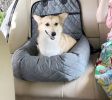 Pet Life 'Pawtrol' Dual Converting Travel Safety Carseat and Pet Bed - Grey