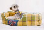 Touchdog 'Archi-Checked' Designer Plaid Oval Dog Bed - Yellow - Medium