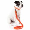 Pet Life 'Aero Mesh' 2-In-1 Dual Sided Comfortable And Breathable Adjustable Mesh Dog Leash-Collar - Orange - Small