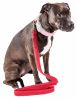 Pet Life 'Aero Mesh' Dual Sided Comfortable And Breathable Adjustable Mesh Dog Leash - Red