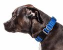 Pet Life 'Aero Mesh' 360 Degree Dual Sided Comfortable And Breathable Adjustable Mesh Dog Collar - Blue - Medium