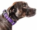 Pet Life 'Aero Mesh' 360 Degree Dual Sided Comfortable And Breathable Adjustable Mesh Dog Collar - Purple - Large