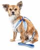 Pet Life Luxe 'Spawling' 2-In-1 Mesh Reversed Adjustable Dog Harness-Leash W/ Fashion Bowtie - Blue - Large