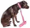 Pet Life 'Aero Mesh' 2-In-1 Dual Sided Comfortable And Breathable Adjustable Mesh Dog Leash-Collar - Pink - Medium