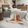 Pet Supplies Dog Bed with Memory Foam Support - Beige - O/S