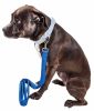 Pet Life 'Aero Mesh' Dual Sided Comfortable And Breathable Adjustable Mesh Dog Leash - Blue