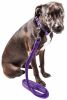 Pet Life 'Aero Mesh' 2-In-1 Dual Sided Comfortable And Breathable Adjustable Mesh Dog Leash-Collar - Purple - Large