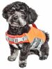 Dog Helios 'Tidal Guard' Multi-Point Strategically-Stitched Reflective Pet Dog Life Jacket Vest - Orange - Small