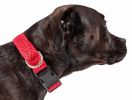 Pet Life 'Aero Mesh' 360 Degree Dual Sided Comfortable And Breathable Adjustable Mesh Dog Collar - Red - Large