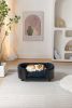 Scandinavian style Elevated Dog Bed Pet Sofa With Solid Wood legs and Black Bent Wood Back, Cashmere Cushion,Small Size - as Pic