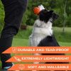 Dog Fetch Toy Outdoor Barbell Dog Toy for Small Medium and Large Breed Dogs Floating Dog Toy Orange - Pitchdog