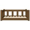 Dog Bed Honey Brown 29.7"x21.9"x11" Solid Wood Pine - Brown