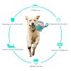 Dog Soccer Ball Interactive Pet Toys Foldable Ball Molar Toy Outdoor Training Ball for Puppy Dog Chew Dog Accessories - Pink