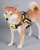 Dog Helios 'Scorpion' Sporty High-Performance Free-Range Dog Harness - Yellow - Medium