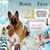 Winter Themed Dog Treats Gift Box - 21 treats