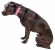 Pet Life 'Aero Mesh' 360 Degree Dual Sided Comfortable And Breathable Adjustable Mesh Dog Collar - Pink - Large