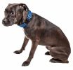 Pet Life 'Aero Mesh' 360 Degree Dual Sided Comfortable And Breathable Adjustable Mesh Dog Collar - Blue - Medium