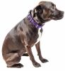 Pet Life 'Aero Mesh' 360 Degree Dual Sided Comfortable And Breathable Adjustable Mesh Dog Collar - Purple - Large