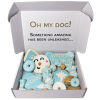 Winter Themed Dog Treats Gift Box - 21 treats