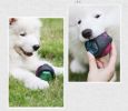 Pet Rubber Bouncing Toy Dog Chew Toy Light up Ball Squeaky Toy, Bite Resistant Irregular Shape Toy - round